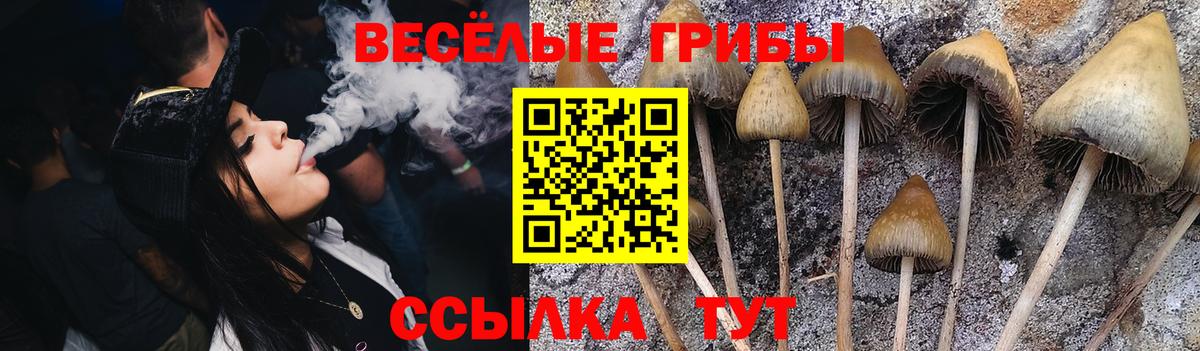Галлюциногенные грибы мицелий  Вход с VPN  Коммунар 